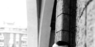 Небојша-јовановик