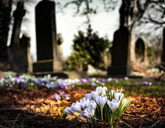 гробље-цвеће