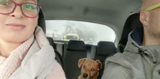 драгана-соро-ауто-пас